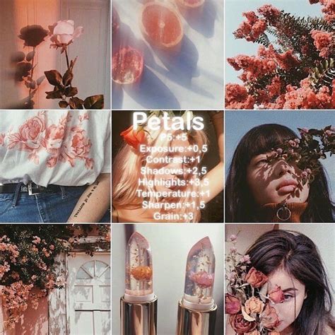 Vsco filters, vsco themes, bookish themes, bookstagram, instagram inspo, cozy vibes, book aesthetic, flatlay inspo, book blogger, vsco x, photo editing, vsco inspo, blog aesthetic, photo filters, tumblr ideas, vsco edits. pin danielamarinlopez ig danielamari.n | Vsco filter, Vsco ...