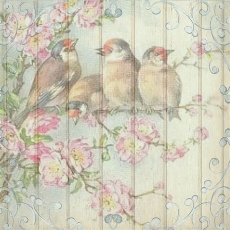 Vintage Birds Backgrounds