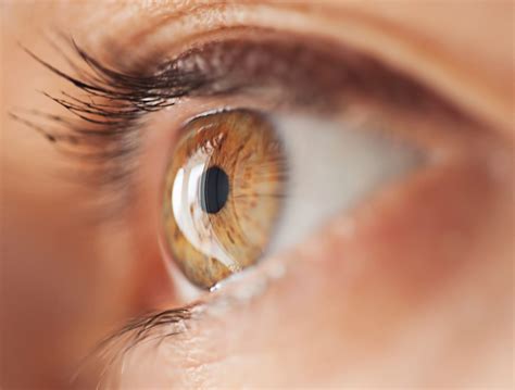 Anatomy Of The Eye Eye Structure And More Nvision Eye Centers 2023