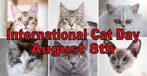 June 4 is hug your cat day. Facts From the Stacks | Freeman/Lozier Library Blog, part ...