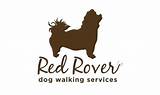 Pictures of Dog Walking Services Seattle