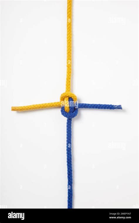 Hunters Bend Riggers Bend Knot Tied With Two Ropes In Blue And