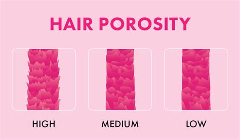 Hair Gurus Share Everything You Need To Know About Hair Porosity Blog