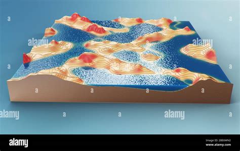 Cross Section Topographic 3d Map With Water Contour Lines On A