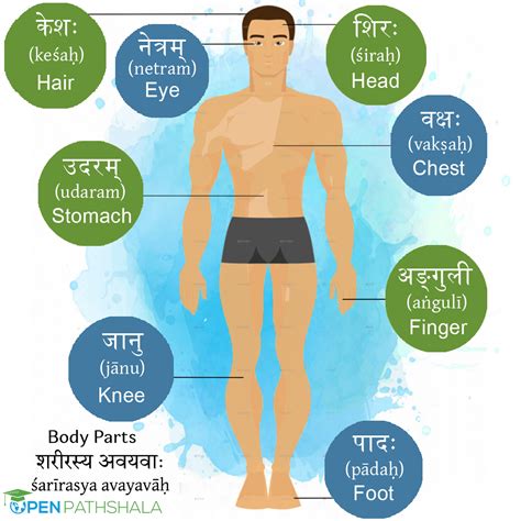Live worksheets > english > english as a second language (esl) > parts of the body. Name of Body Parts | learn Sanskrit | Open Pathshala