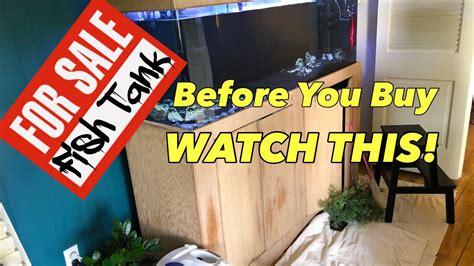 5 Aquarium Buying Tips Before You Buy A Fish Tank Watch This Youtube