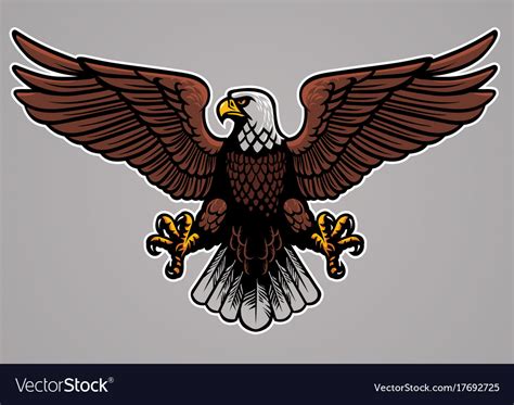 Bald Eagle Spread His Wings Royalty Free Vector Image
