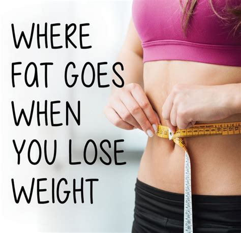 Where Fat Goes When You Lose Weight Medical Age Management