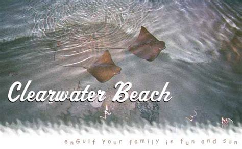 Here's the quick answer if you are able to make this entire trip by car without stopping. Clearwater Beach Profile- Absolutely Florida!