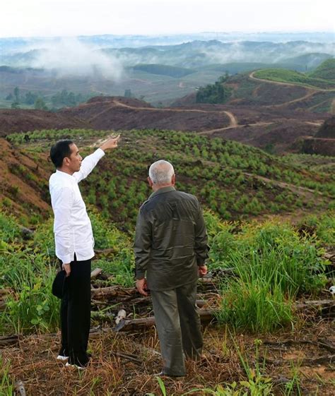 indonesia passes law to relocate capital to remote borneo