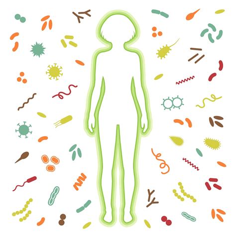 The practice of immunisation dates back hundreds of years. The Immune System: The Body's Battlefield