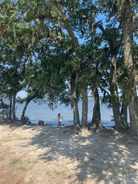 Waterfront Park Daniel Island Charleston Roadtrippers