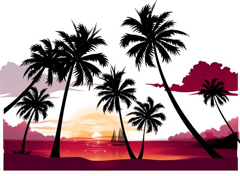Sunset Palm Tree Clipart Image Transparent Stock Tree Beach Sunset
