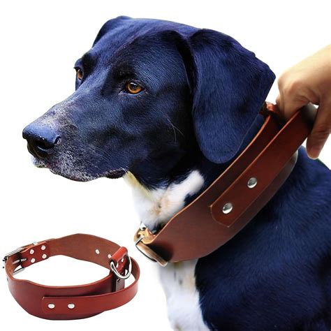 Buy Didog Quick Control Genuine Leather Dog Collar