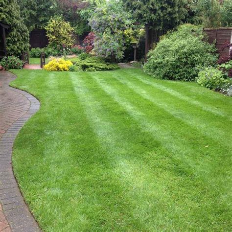 Expert Lawn Care Services In Lincolnshire Trugreen