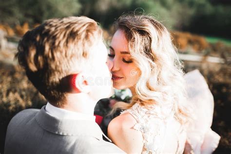 Beautiful Bride And Groom Embracing And Kissing On Their Wedding Day