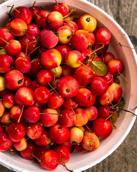 Can You Eat Crab Apples An Expert Weighs In Flipboard