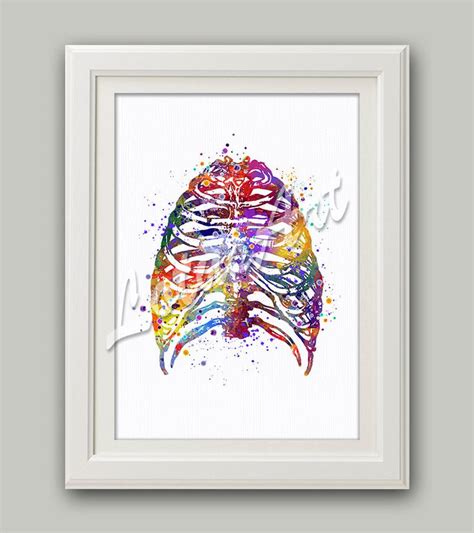 Rib Cage Art Framed Watercolor Print Anatomy Painting Medical Wall Home