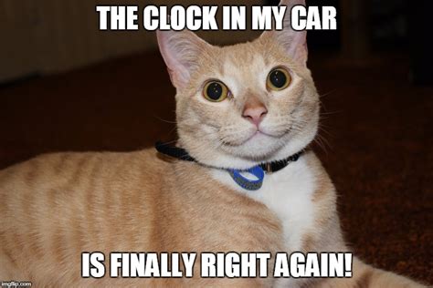 Image Tagged In Catsdaylight Savings Time Imgflip