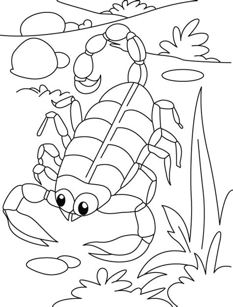 970x999 coloring pages glamorous scorpion coloring pages to print. Scorpion Coloring Pages - GetColoringPages.com