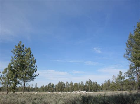 fotos gratis paisaje árbol naturaleza bosque césped desierto montaña nube planta
