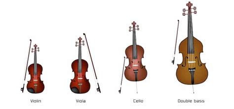 Viola Vs Violin Whats The Difference