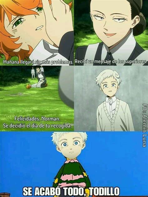 Memes De The Promised Neverland°•° 15 Memes De Anime Memes De Libros Memes Otakus
