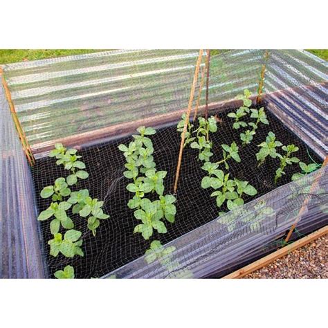 Make Windbreak Panels Windbreak Veg Garden Crop Protection