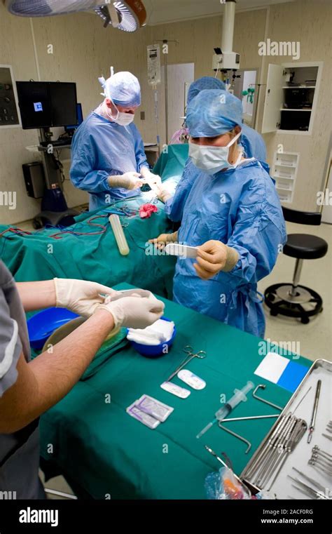 Hernia Operation Surgeons Performing Surgery To Repair A Hernia In A