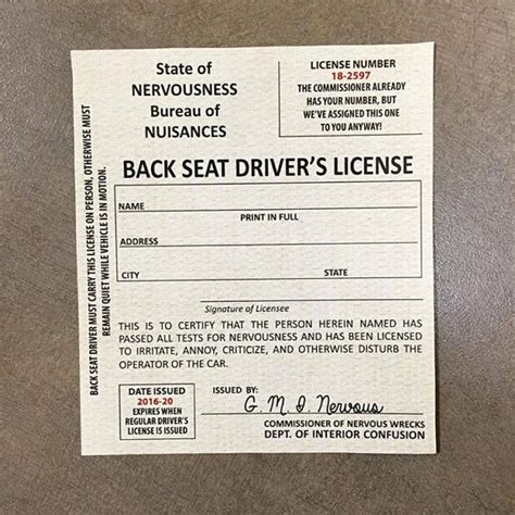 Backseat Drivers License Digital File To Print By Lotoknots Therapy
