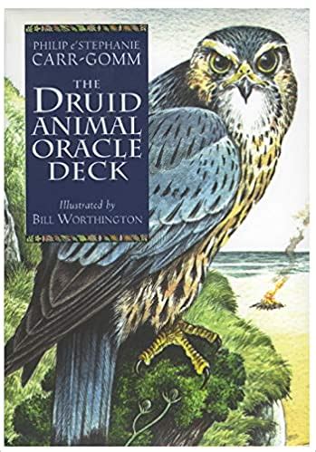 Services | Druids of the Light