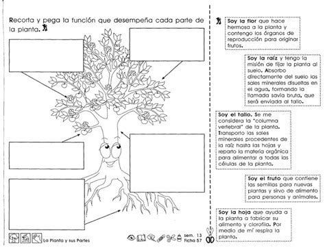 7 , 16 , 33. Educando con amor: ACTIVIDADES PARA TERCER GRADO