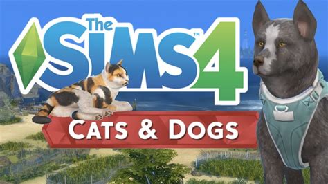 The Sims 4 Cats And Dogs Game Play Brindleton Bay And Buy Mode First