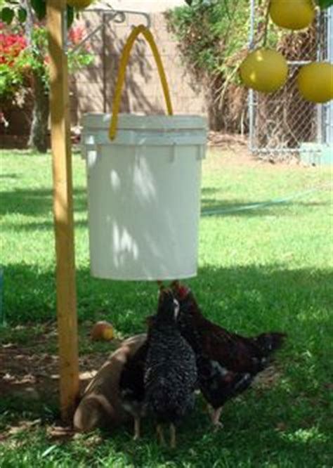 Keep your chickens hydrated and happy with this easy to make project. 43 Best Innovative homemade chicken waterers images ...