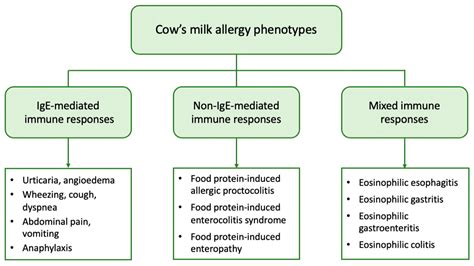 Role Of Gut Microbiome In Cows Milk Allergy Encyclopedia Mdpi