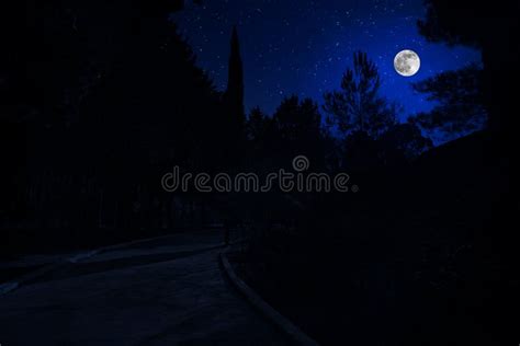 Mountain Road Through The Forest On A Full Moon Night Stock Photo