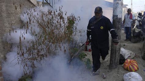 Les Pluies Del Nino Intensifient Lépidémie Record De Dengue Au Pérou