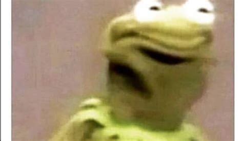 Kermit The Frog Meme 1080x1080 Kermit The Frog Instagram