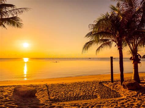 Beautiful Tropical Beach Sea And Ocean With Coconut Palm Tree At