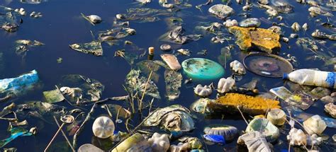 What Are The Effects Of Water Pollution On The Environment
