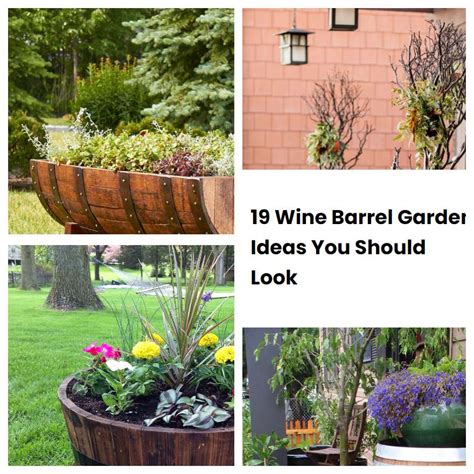 19 Wine Barrel Garden Ideas You Should Look Sharonsable