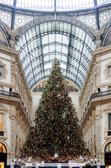 We have reviews of the best places to see in milan. Christmas vibes and Swarovski tree in the heart of Milan ...