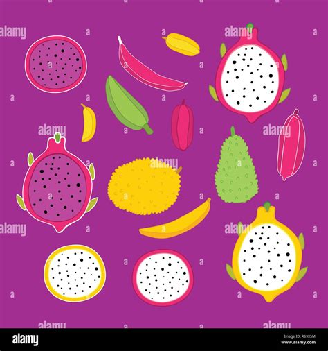 Exotic Tropical Fruits Collection On Fuchsia Color Background Jackfruit