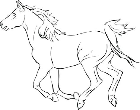 They produced enough manure in one year to create a. Dressage Coloring Pages at GetColorings.com | Free ...
