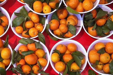 A Guide To Mandarin Oranges 11 Types Of Citrus For The Season The