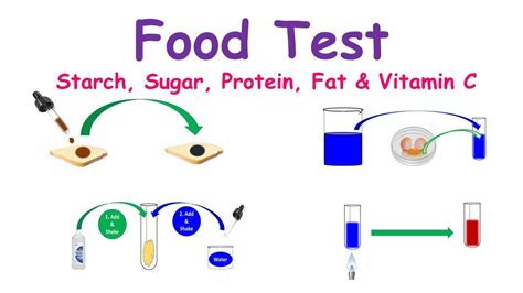 Food Test Experiments Testing For Starch Proteins Sugar Fats