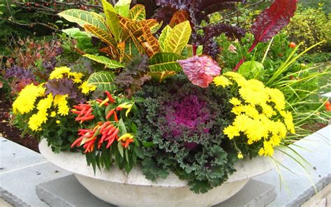 Fall Container Gardening