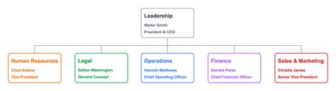 Functional Organization Structure