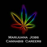 Marijuana Jobs In Maine