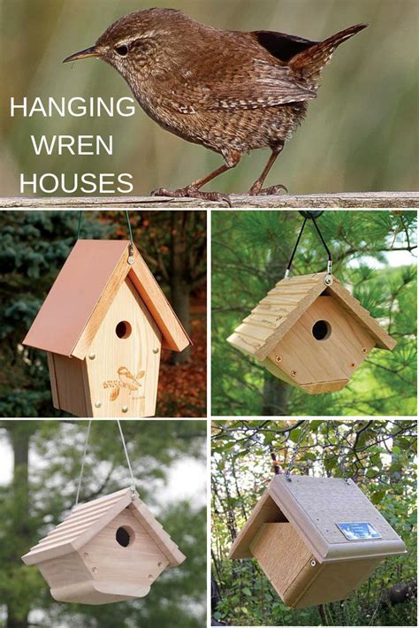 Hanging Wren Birdhouses Bird Houses Bird House Wren House